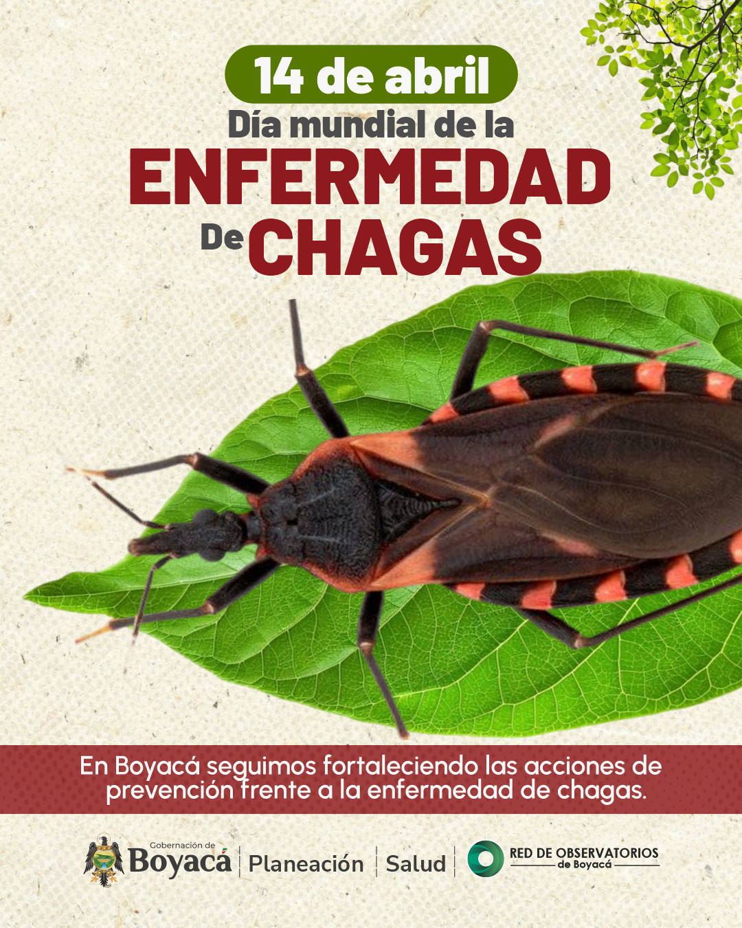 Enfermedad de Chagas