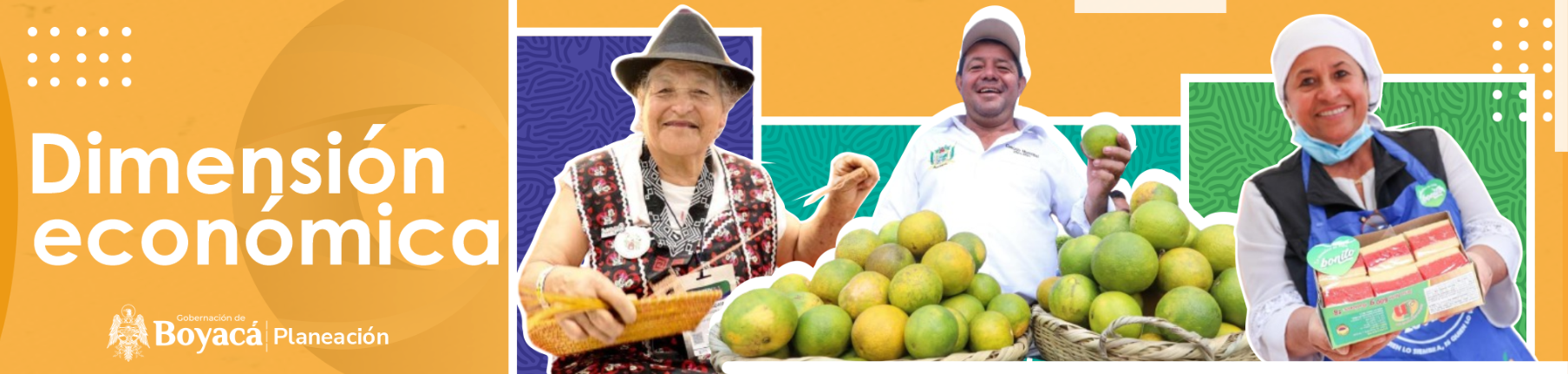 Dimensión Económica