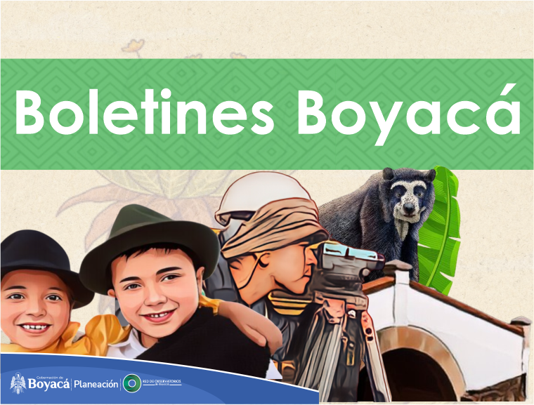 Boletín de violencia dimensión social